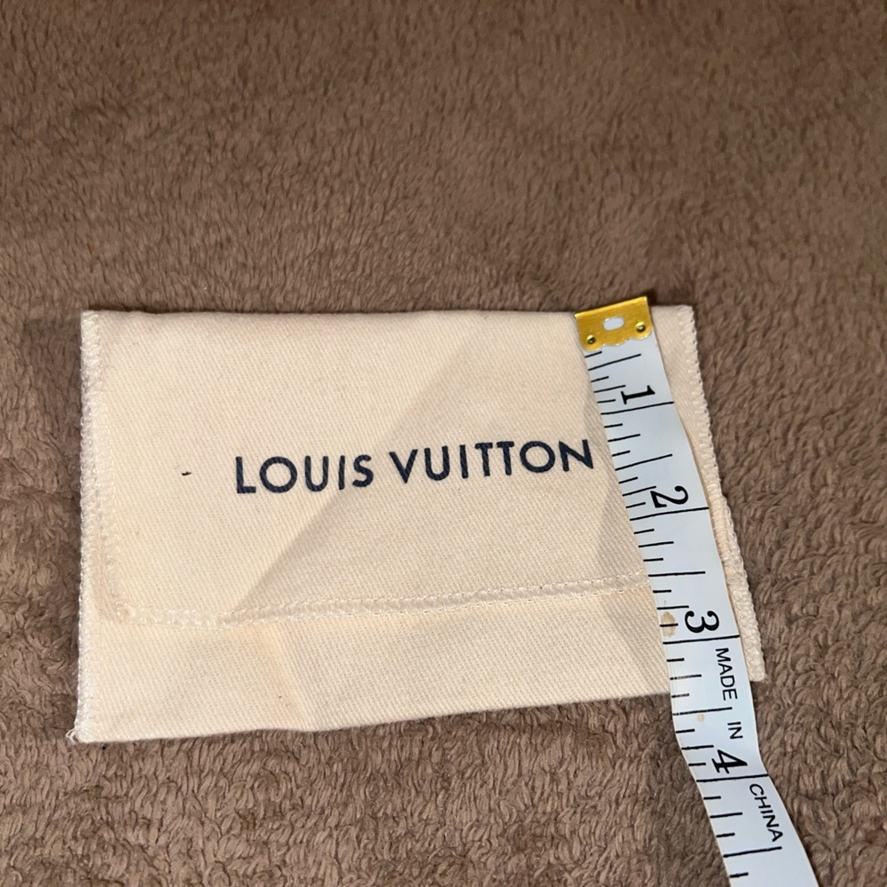 Luxury Item dust bag